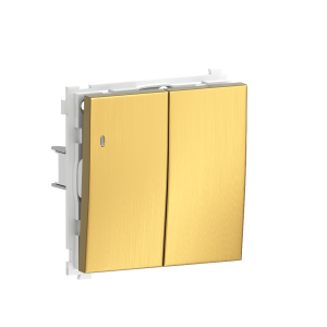 Выключатель двухклавишный встраиваемый проходной Donel R98 Metal с подсветкой Золото матовое DA03108-DA285BR