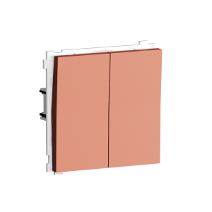 Выключатель двухклавишный встраиваемый перекрестный Donel R98 Коралл матовый DA10900-DA29545