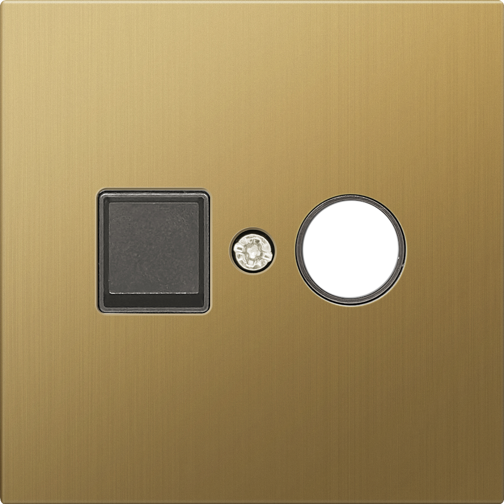 ТВ-розетка встраиваемая оконечная Donel R98 Metal Золото матовое DA30100-DA879BR — изображение 2